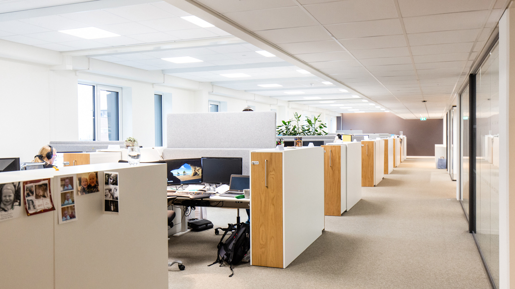 skjeggkre på arbeidsplassen